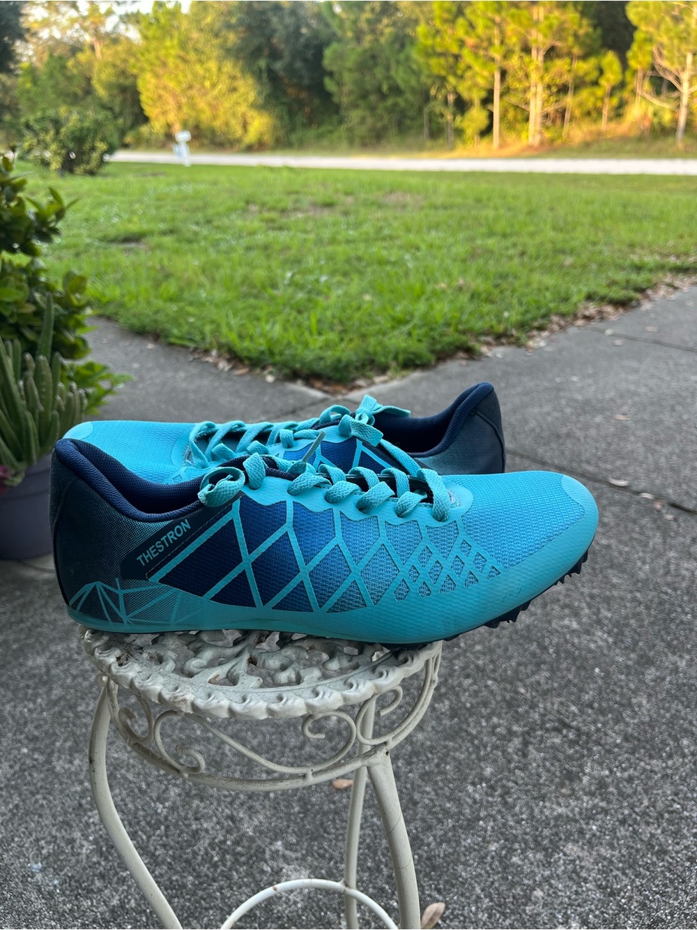 THESTRON Professional Spikes Track & Field Shoes Running Sneakers 42 = 10